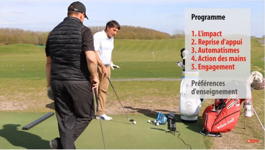 Birdie fundamentals posture basics