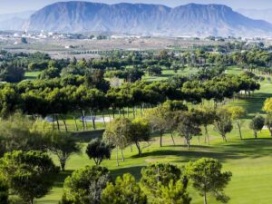 El Plantio Golf Resort_Vue générale
