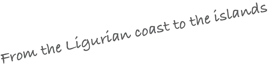 From the Ligurian coast to the islands
